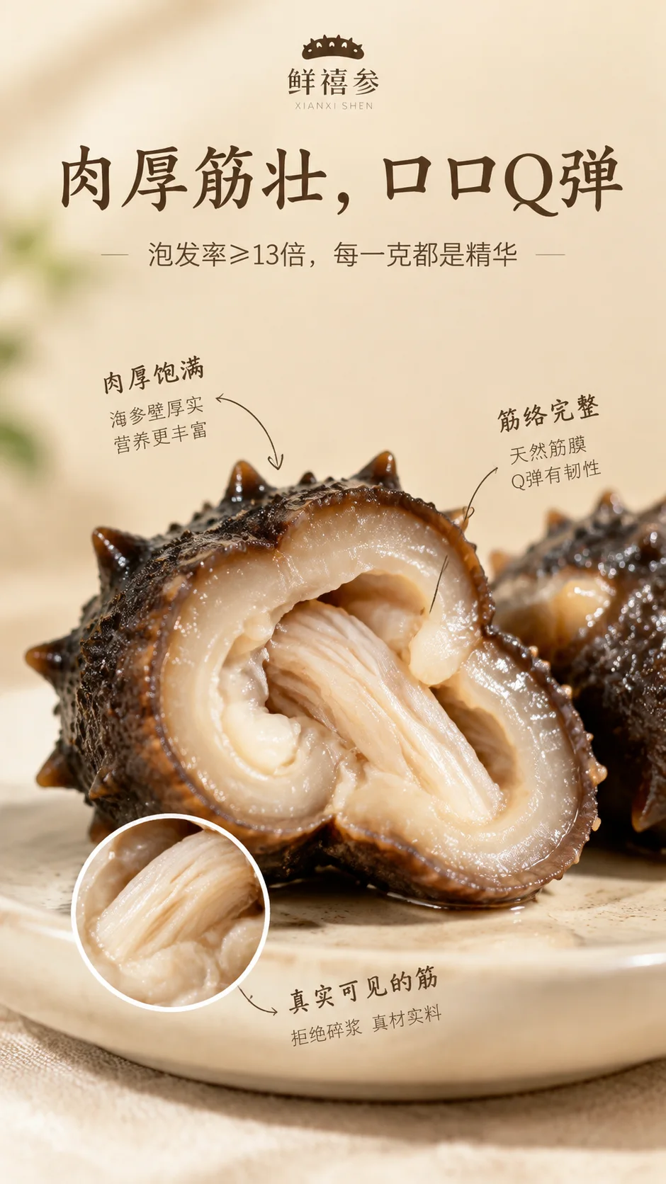 大连淡干海参 详情图 5
