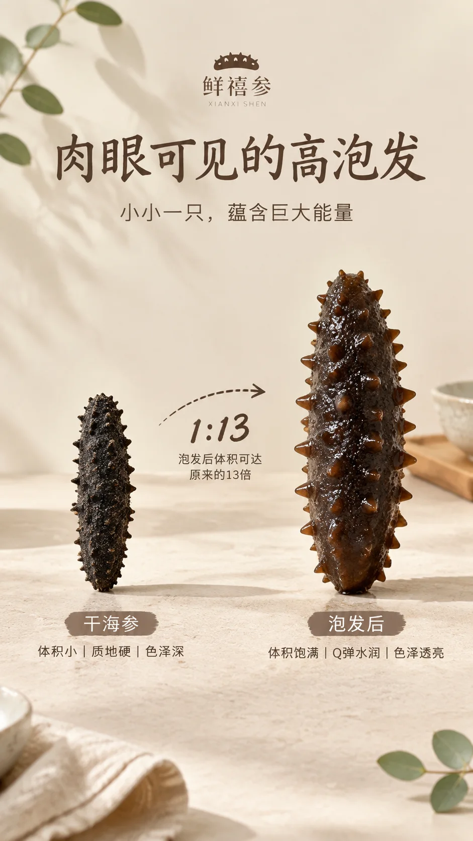 大连淡干海参 详情图 8