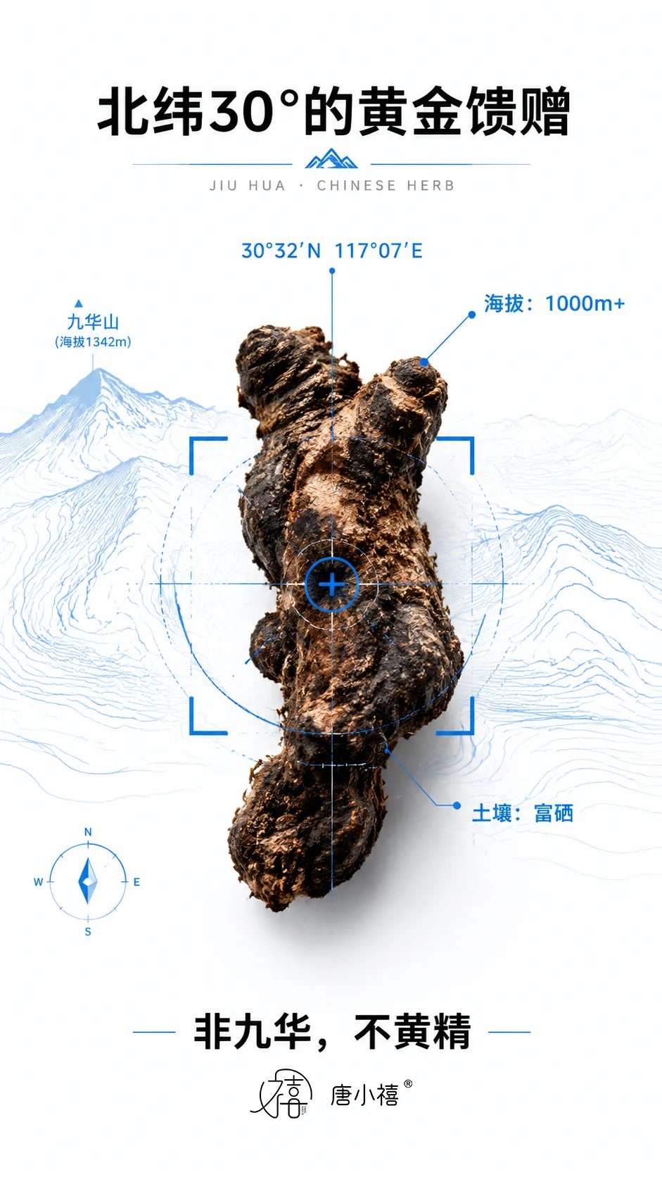九华山黄精茶 详情图 2
