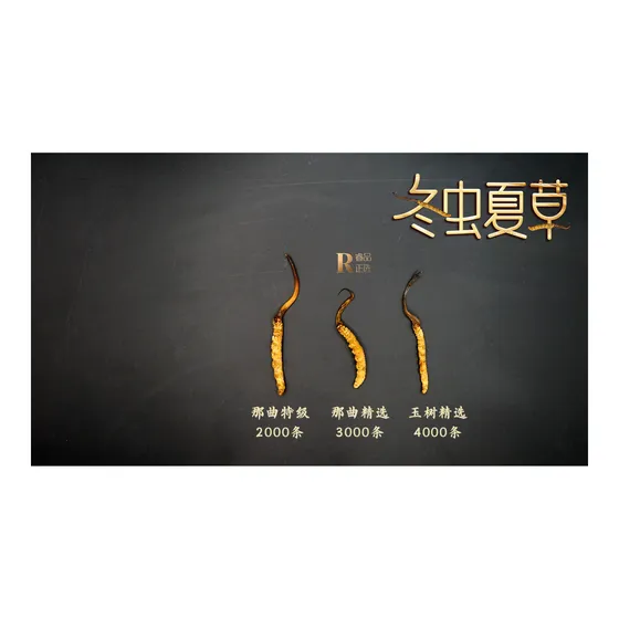 那曲 · 玉树冬虫夏草礼盒 图 2