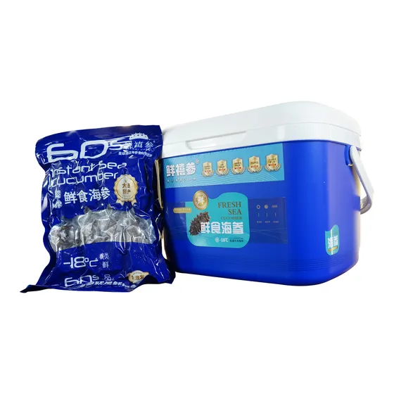 大连鲜食海参