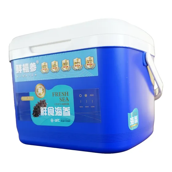 大连鲜食海参 图 2
