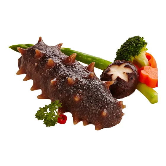 大连鲜食海参 图 10