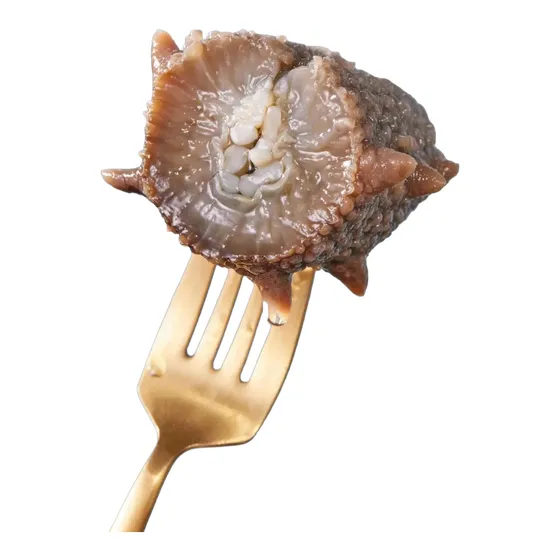 大连鲜食海参 图 13